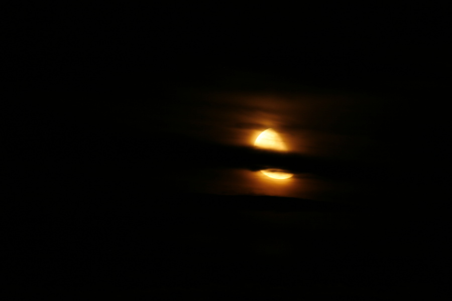 (Canon EOS 30D) Rosenhagen, Mondaufgang  8569.JPG