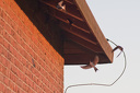 Schwalben im Anflug aufs Nest unterm Dachvorsprung  3895.1