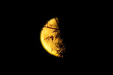 Mondaufgang, Halbmond mit Baum im Vordergrund  4349.1