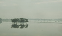 Hochwasser  (aus dem Zug fotografiert in der Nähe von Riesa)  8179.1